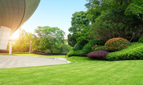Commercial Shrub Trimming in Lenoir City