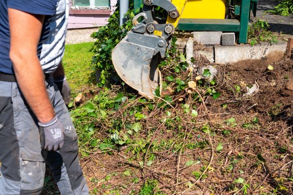 Hedge Removal Service in Lenoir City