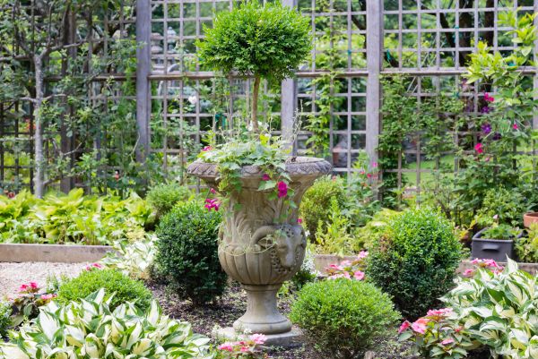 Cost of Topiary Pruning in Lenoir City