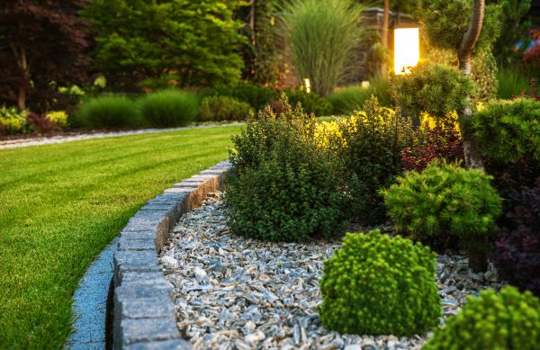Cost of Bush Relocation in Lenoir City