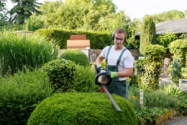 Shrubs Trimming in Lenoir City
