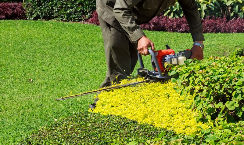 Commercial Shrub Trimming