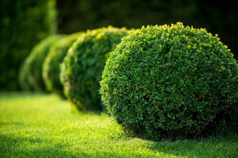 Shrubs with Clean Cuts