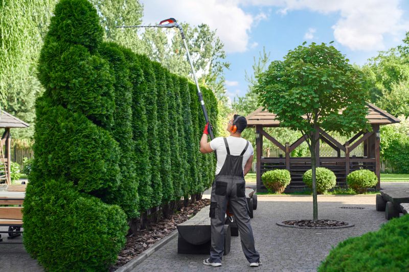 Professional shrub trimming ensures your landscape looks its best.